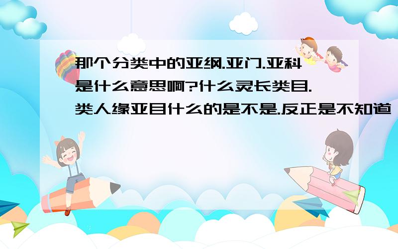 那个分类中的亚纲.亚门.亚科是什么意思啊?什么灵长类目.类人缘亚目什么的是不是.反正是不知道