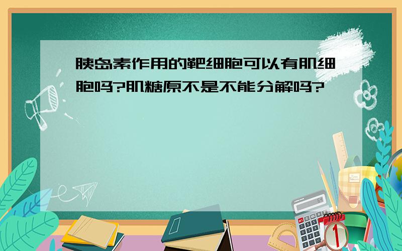 胰岛素作用的靶细胞可以有肌细胞吗?肌糖原不是不能分解吗?