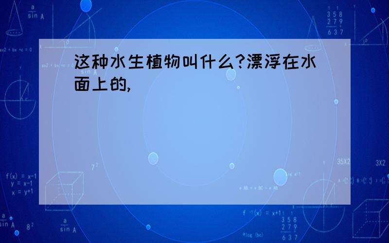 这种水生植物叫什么?漂浮在水面上的,