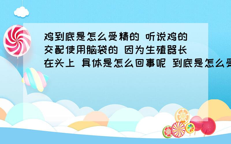 鸡到底是怎么受精的 听说鸡的交配使用脑袋的 因为生殖器长在头上 具体是怎么回事呢 到底是怎么受精的呢