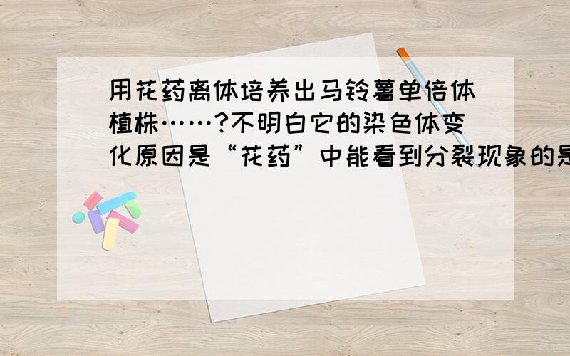 用花药离体培养出马铃薯单倍体植株……?不明白它的染色体变化原因是“花药”中能看到分裂现象的是花粉的形成过程,“染色体两两配对形成12对”,即花粉至少有两个染色体组,体细胞就是