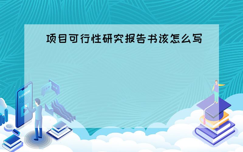 项目可行性研究报告书该怎么写