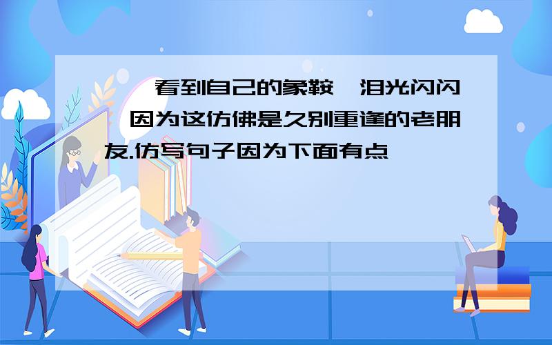 嘎羧看到自己的象鞍,泪光闪闪,因为这仿佛是久别重逢的老朋友.仿写句子因为下面有点