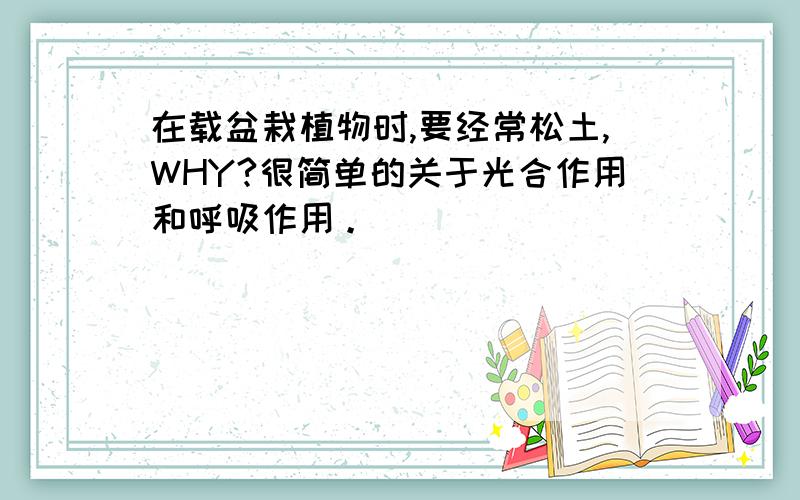 在载盆栽植物时,要经常松土,WHY?很简单的关于光合作用和呼吸作用。