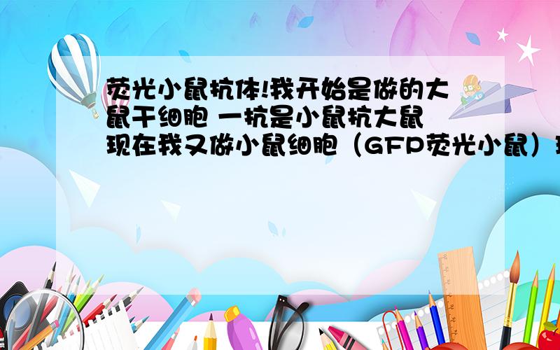 荧光小鼠抗体!我开始是做的大鼠干细胞 一抗是小鼠抗大鼠 现在我又做小鼠细胞（GFP荧光小鼠）理论上应该用其他抗小鼠一抗 想问下以前的抗体（小鼠抗大鼠）还能不能用?