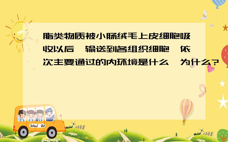 脂类物质被小肠绒毛上皮细胞吸收以后,输送到各组织细胞,依次主要通过的内环境是什么,为什么?