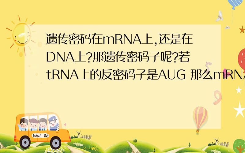 遗传密码在mRNA上,还是在DNA上?那遗传密码子呢?若tRNA上的反密码子是AUG 那么mRNA上的遗传密码是UAC