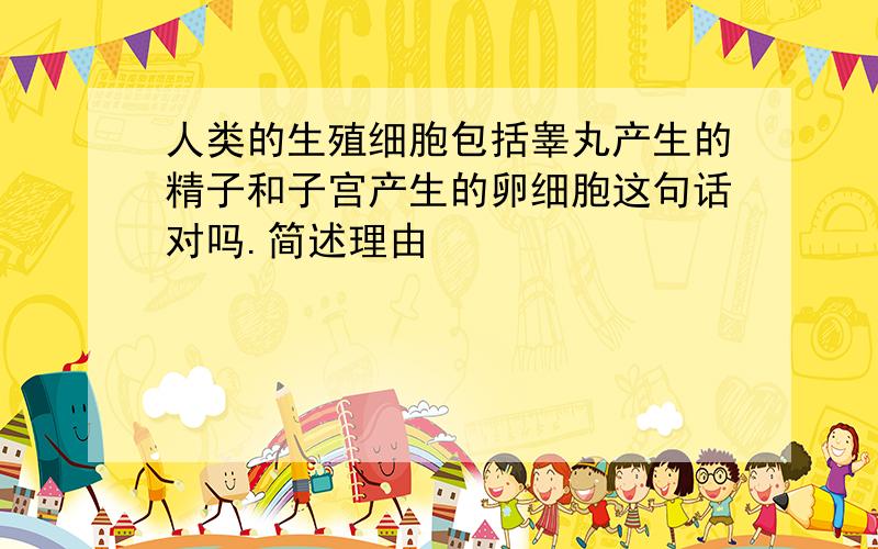 人类的生殖细胞包括睾丸产生的精子和子宫产生的卵细胞这句话对吗.简述理由