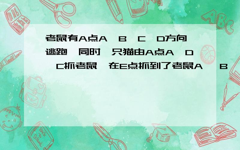 老鼠有A点A→B→C→D方向逃跑,同时一只猫由A点A→D→C抓老鼠,在E点抓到了老鼠A→ B ↓┃━━━━━┃┃ ┃┃ ．E ┃━━━━━┃C D老鼠速度是猫的11/14．CE长6米,求长方形的周长．图画错了