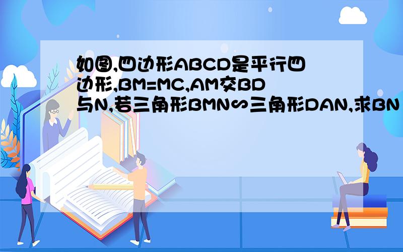 如图,四边形ABCD是平行四边形,BM=MC,AM交BD与N,若三角形BMN∽三角形DAN,求BN∶BD我现在急用