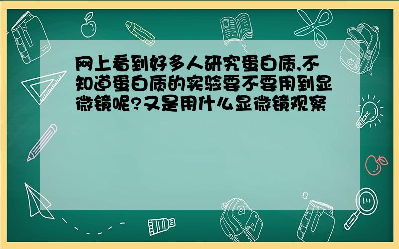 网上看到好多人研究蛋白质,不知道蛋白质的实验要不要用到显微镜呢?又是用什么显微镜观察