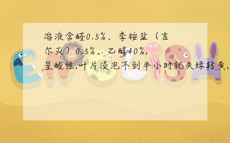 溶液含醛0.5%、季铵盐（吉尔灭）0.5%、乙醇40%,呈酸性,叶片浸泡不到半小时就失绿转黄,问主要什么试剂破坏叶绿素?更正：乙醇是0.8%，应该不致褪色吧