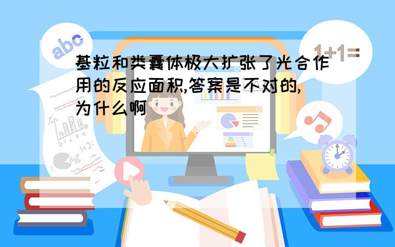 基粒和类囊体极大扩张了光合作用的反应面积,答案是不对的,为什么啊