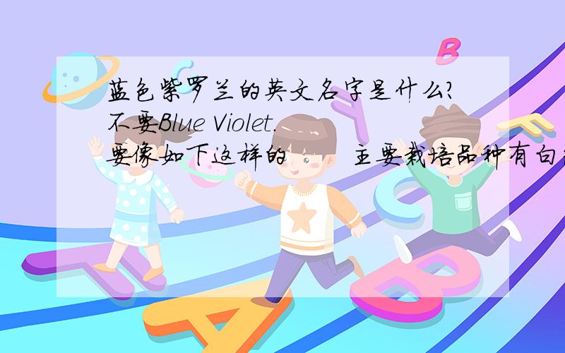 蓝色紫罗兰的英文名字是什么?不要Blue Violet.要像如下这样的 　　主要栽培品种有白色的“艾达”（Aida）、淡黄的“卡门”(Carmen)、红色的“弗朗西丝克”(Francesco)、紫色的“阿贝拉”(Arabella