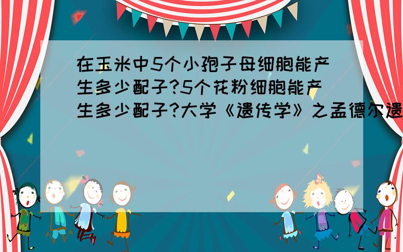 在玉米中5个小孢子母细胞能产生多少配子?5个花粉细胞能产生多少配子?大学《遗传学》之孟德尔遗传规律思考题