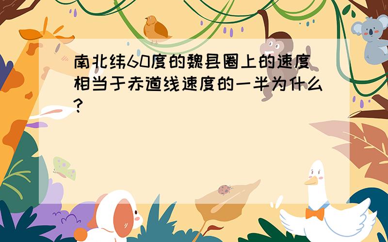 南北纬60度的魏县圈上的速度相当于赤道线速度的一半为什么?