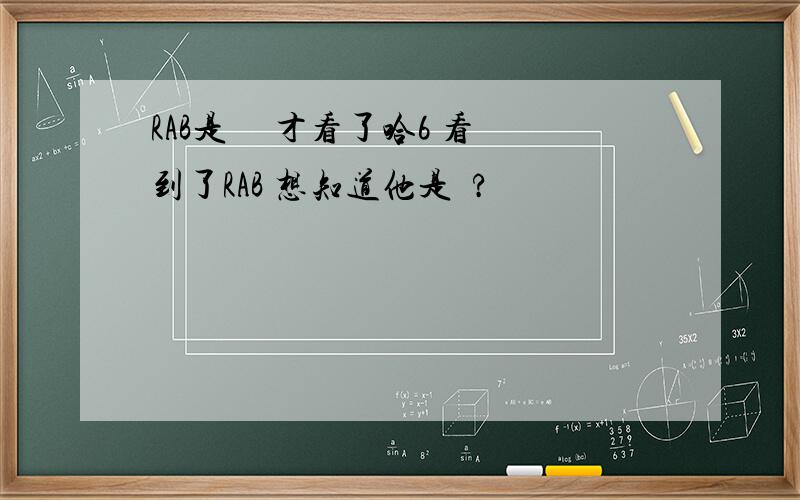 RAB是誰 剛才看了哈6 看到了RAB 想知道他是誰?