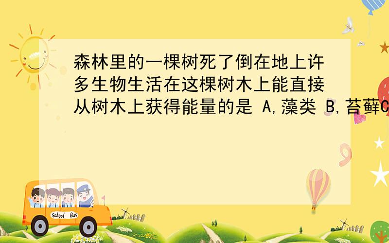 森林里的一棵树死了倒在地上许多生物生活在这棵树木上能直接从树木上获得能量的是 A,藻类 B,苔藓C,病毒D,细菌