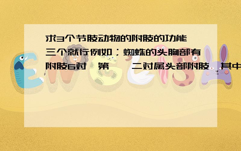 求3个节肢动物的附肢的功能,三个就行例如；蜘蛛的头胸部有附肢6对,第一、二对属头部附肢,其中第一对为螯肢多为2节,基部膨大部分为螯节,端部尖细部分为螯牙,牙为管状,螯节内或头胸部内