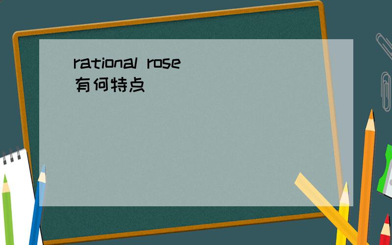 rational rose 有何特点