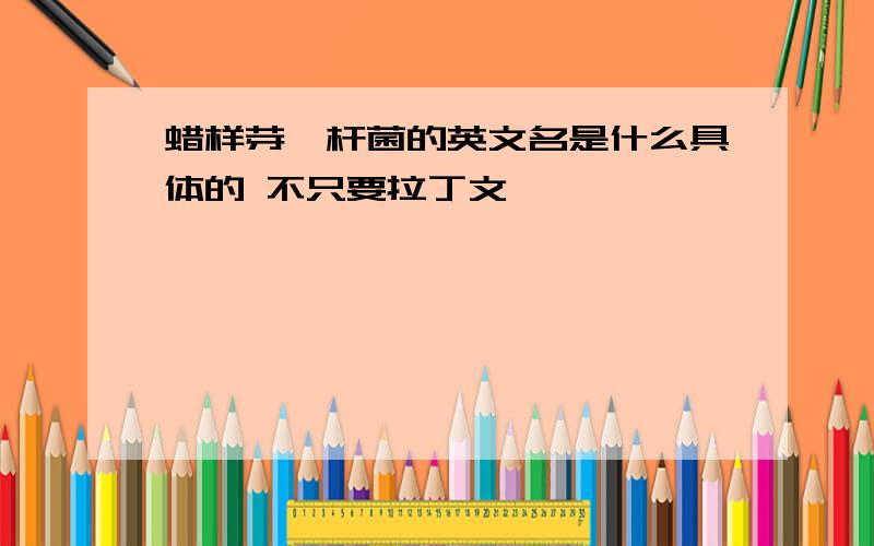 蜡样芽孢杆菌的英文名是什么具体的 不只要拉丁文