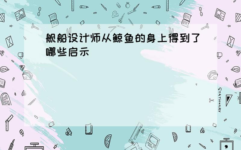 舰船设计师从鲸鱼的身上得到了哪些启示