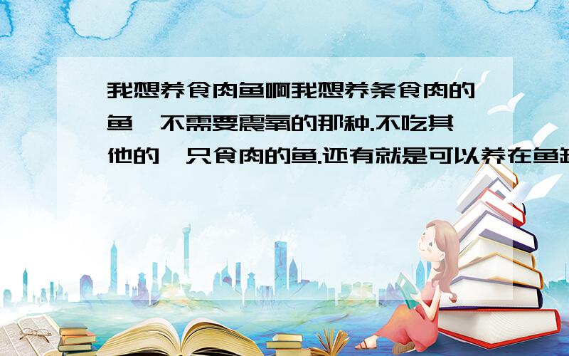 我想养食肉鱼啊我想养条食肉的鱼,不需要震氧的那种.不吃其他的,只食肉的鱼.还有就是可以养在鱼缸里面的.不要给我说鳄鱼这些.我要的是可以随便买的到的.有什么鱼啊 介绍一下给我拉