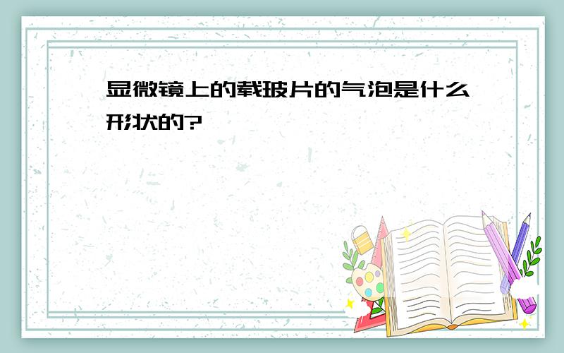 显微镜上的载玻片的气泡是什么形状的?