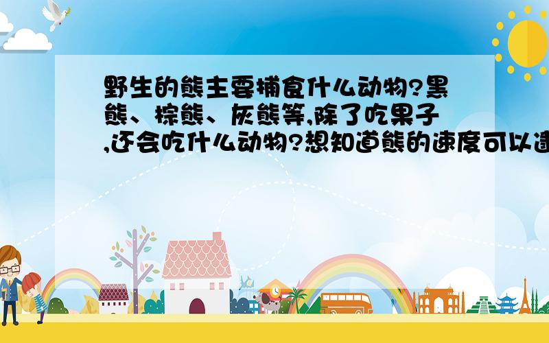 野生的熊主要捕食什么动物?黑熊、棕熊、灰熊等,除了吃果子,还会吃什么动物?想知道熊的速度可以逮到什么动物