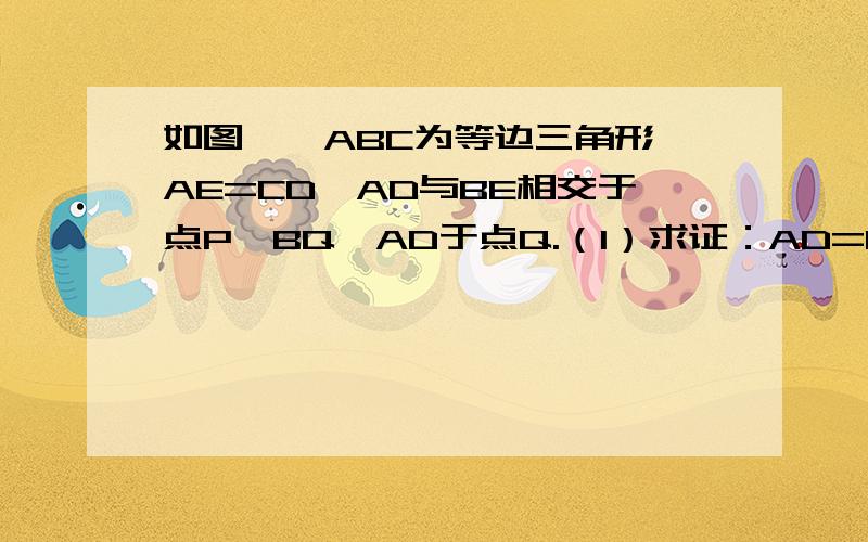 如图,△ABC为等边三角形,AE=CD,AD与BE相交于点P,BQ⊥AD于点Q.（1）求证：AD=BE；（2）若PQ=3,PE=1,求AD的长.