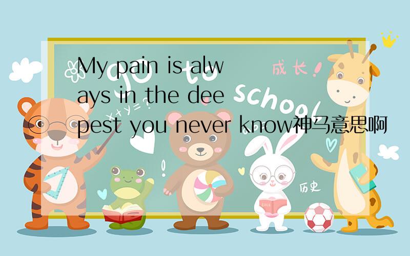 My pain is always in the deepest you never know神马意思啊