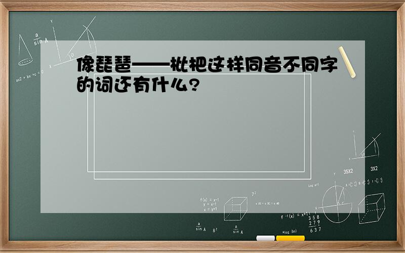 像琵琶——枇杷这样同音不同字的词还有什么?