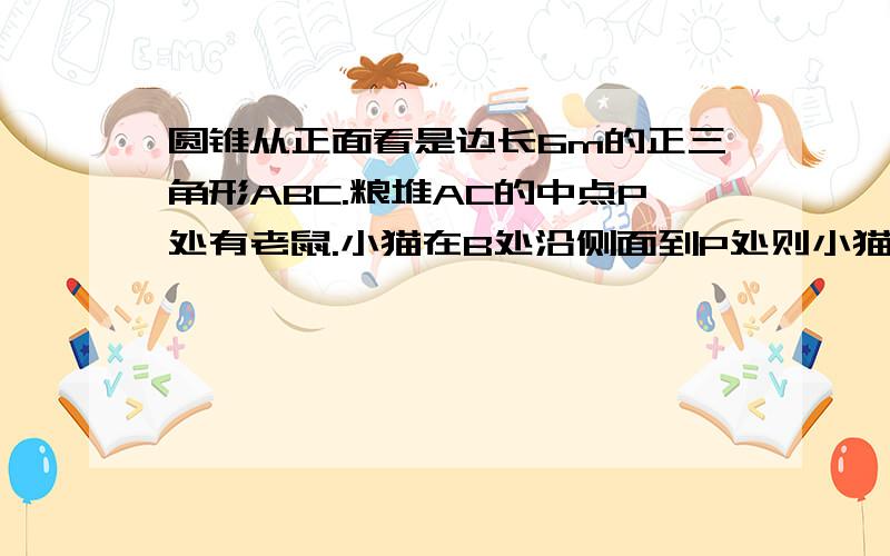 圆锥从正面看是边长6m的正三角形ABC.粮堆AC的中点P处有老鼠.小猫在B处沿侧面到P处则小猫所经过最短路程是?