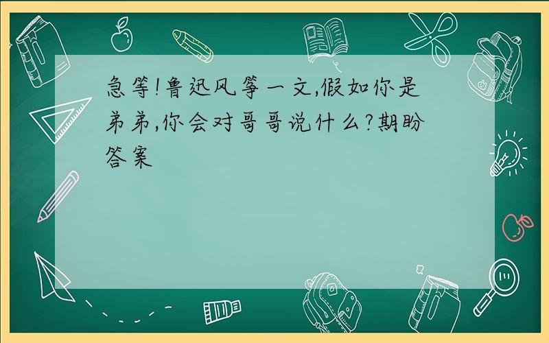 急等!鲁迅风筝一文,假如你是弟弟,你会对哥哥说什么?期盼答案