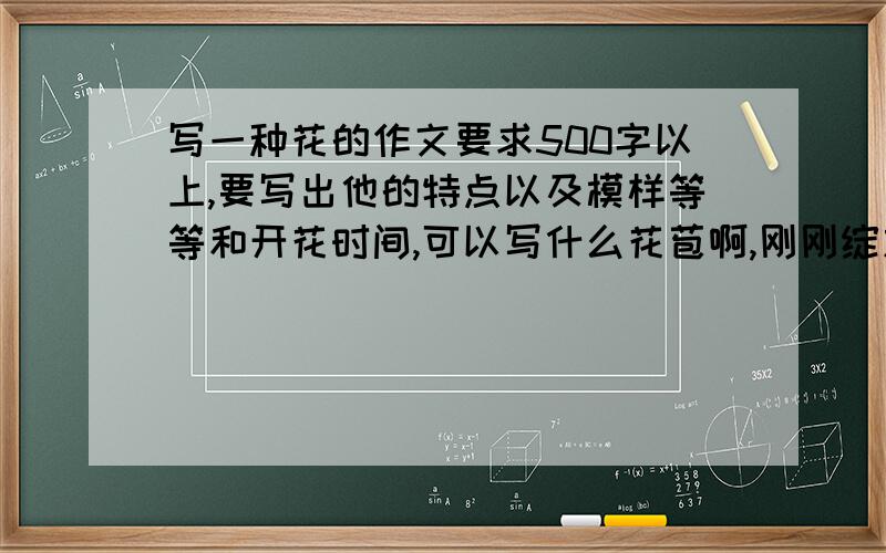 写一种花的作文要求500字以上,要写出他的特点以及模样等等和开花时间,可以写什么花苞啊,刚刚绽放,已经完全绽放等,快啊,急需最好先把它写好，让后问我们是什么花 。 如果你是六年级的