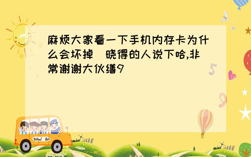 麻烦大家看一下手机内存卡为什么会坏掉　晓得的人说下哈,非常谢谢大伙缮9