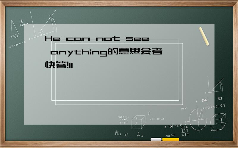 He can not see anything的意思会者快答!11