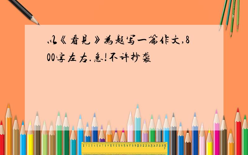 以《看见》为题写一篇作文,800字左右.急!不许抄袭