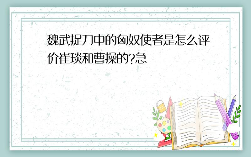 魏武捉刀中的匈奴使者是怎么评价崔琰和曹操的?急