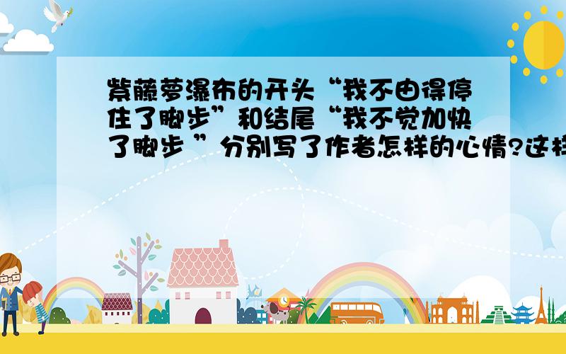 紫藤萝瀑布的开头“我不由得停住了脚步”和结尾“我不觉加快了脚步 ”分别写了作者怎样的心情?这样首尾呼