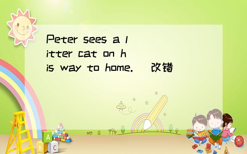 Peter sees a litter cat on his way to home. （改错）