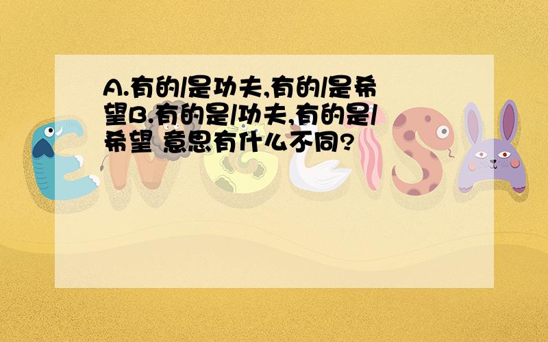 A.有的/是功夫,有的/是希望B.有的是/功夫,有的是/希望 意思有什么不同?