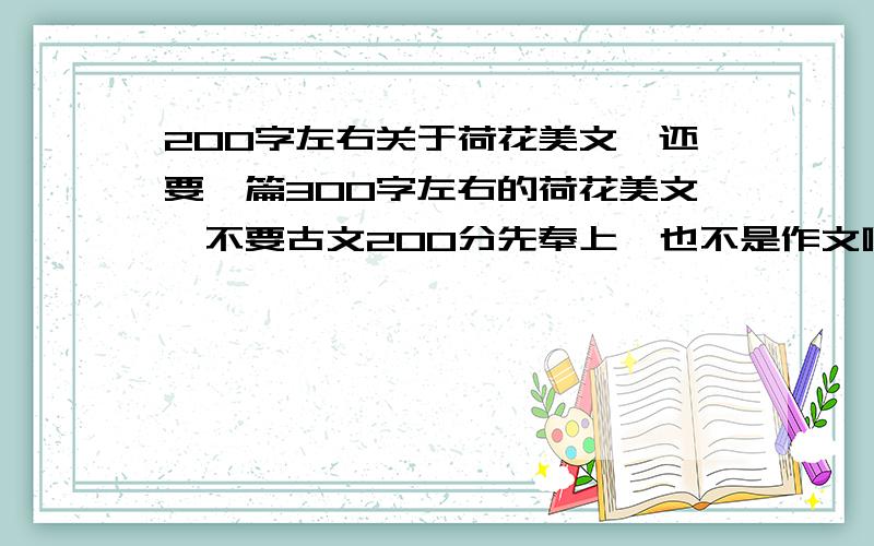 200字左右关于荷花美文,还要一篇300字左右的荷花美文,不要古文200分先奉上,也不是作文啊