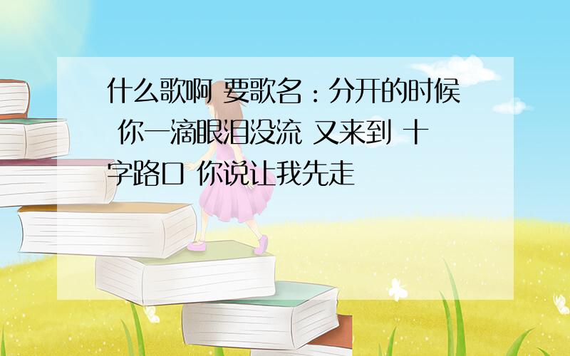 什么歌啊 要歌名：分开的时候 你一滴眼泪没流 又来到 十字路口 你说让我先走