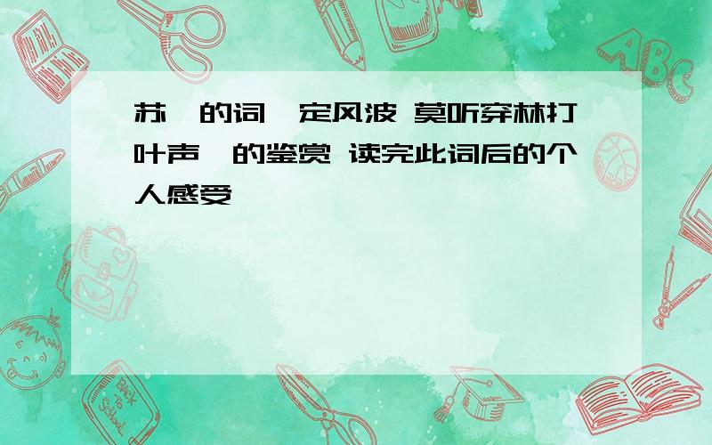 苏轼的词《定风波 莫听穿林打叶声》的鉴赏 读完此词后的个人感受