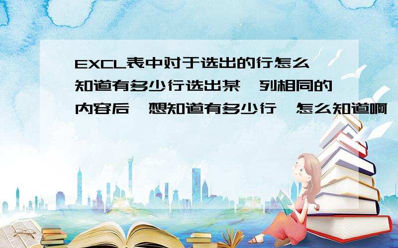 EXCL表中对于选出的行怎么知道有多少行选出某一列相同的内容后,想知道有多少行,怎么知道啊 不想数啊 前面的序号也没连着