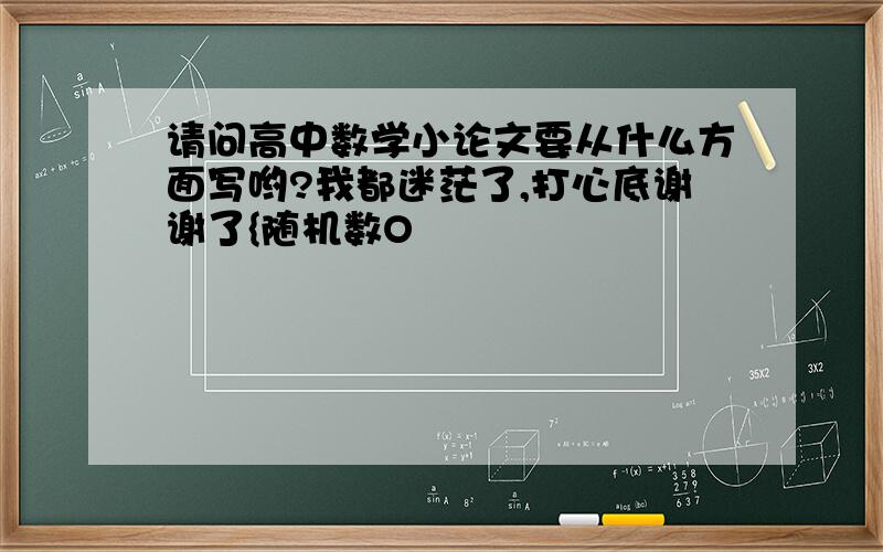 请问高中数学小论文要从什么方面写哟?我都迷茫了,打心底谢谢了{随机数O