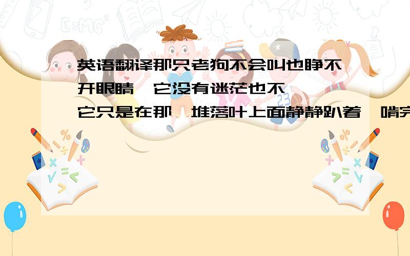 英语翻译那只老狗不会叫也睁不开眼睛,它没有迷茫也不彷徨,它只是在那一堆落叶上面静静趴着,啃完一根大骨棒,然后等死.没有为什么.淡淡夕阳下那一只黄皮肤的老狗无人问津,啃完生命中最