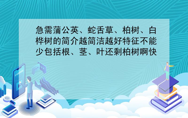 急需蒲公英、蛇舌草、柏树、白桦树的简介越简洁越好特征不能少包括根、茎、叶还剩柏树啊快