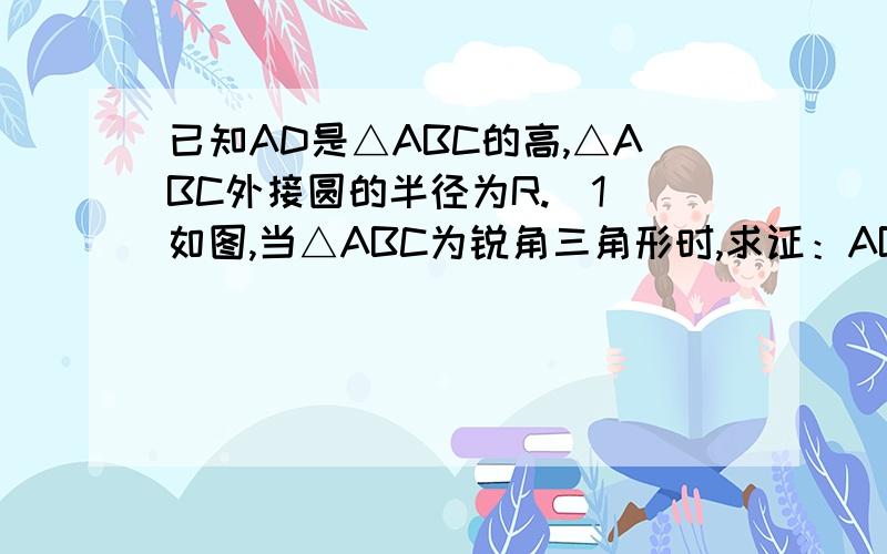 已知AD是△ABC的高,△ABC外接圆的半径为R.（1）如图,当△ABC为锐角三角形时,求证：AB*AC=2AD*R （2）若△ABC为钝角三角形（∠C为钝角）（1）的结论还成立吗?